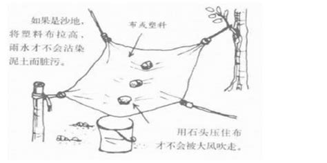 找水源|野外求生新技能 